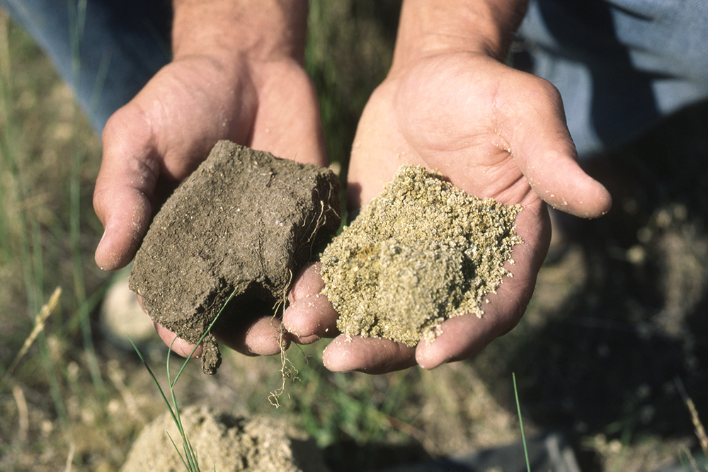 D. Strom holding two different kinds of soil, June 1986.