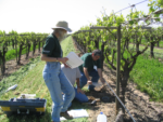 scientists working in the field