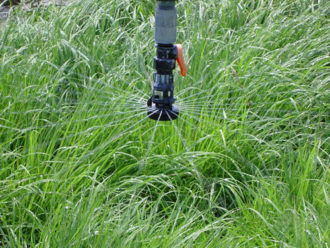 sprinkler sprinkler going off in the grasses