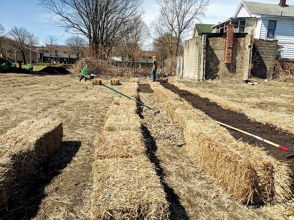 Straw bales lines up in rows outside in the fall or winter