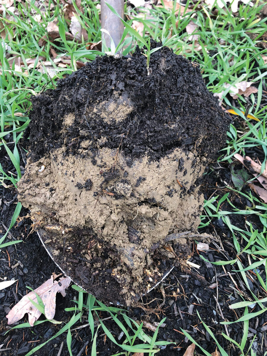 Sample of brown soil collected in a shovel outside from a straw bale