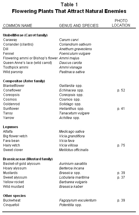 Table 1. Flowering Plants That Attract Natural Enemies