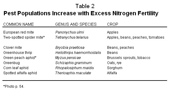 Pest populations increase with excess nitrogen fertility