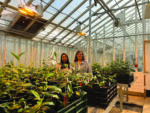 researchers in greenhouse