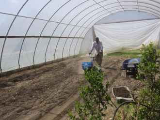 tilling the soil in a high tunnel tilling the soil in a high tunnel