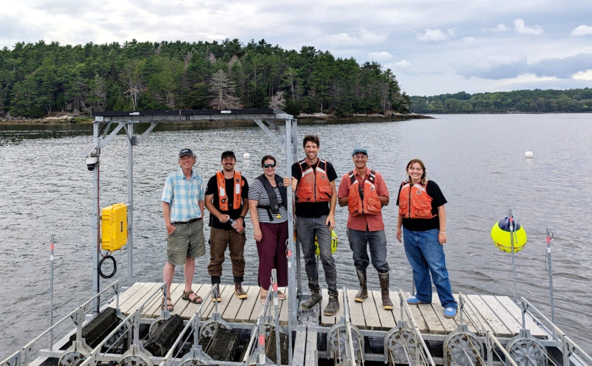 A group of people standing on a dock over the water