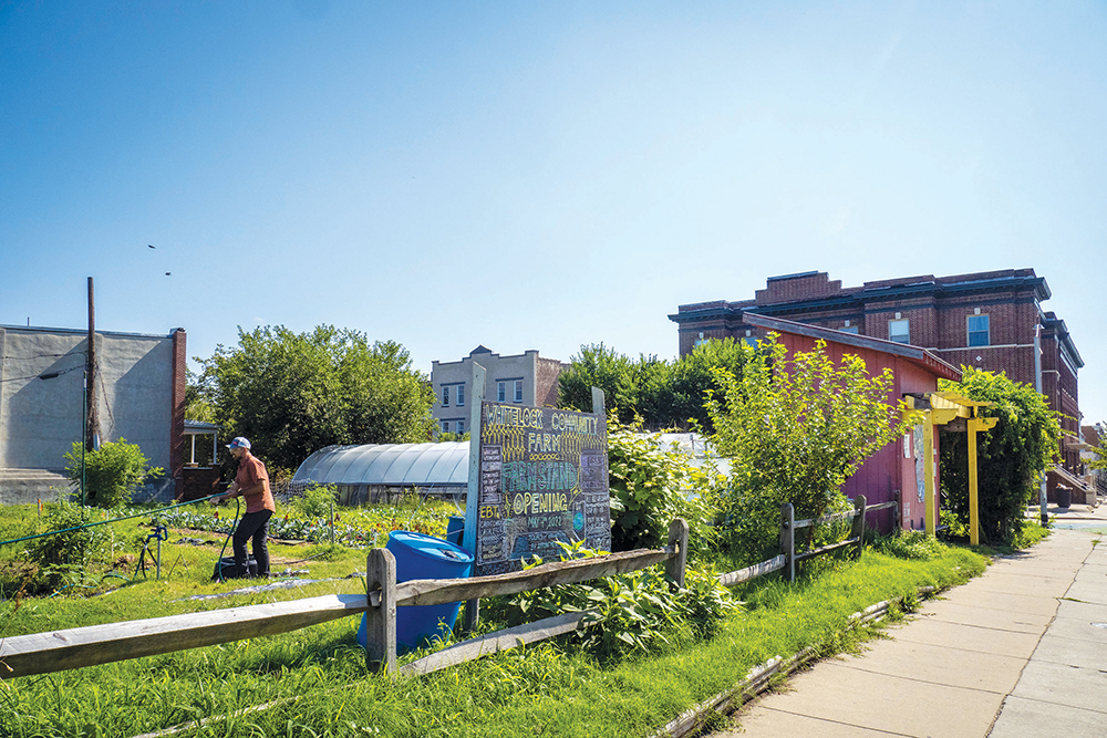 an urban farm surrounded by buildings