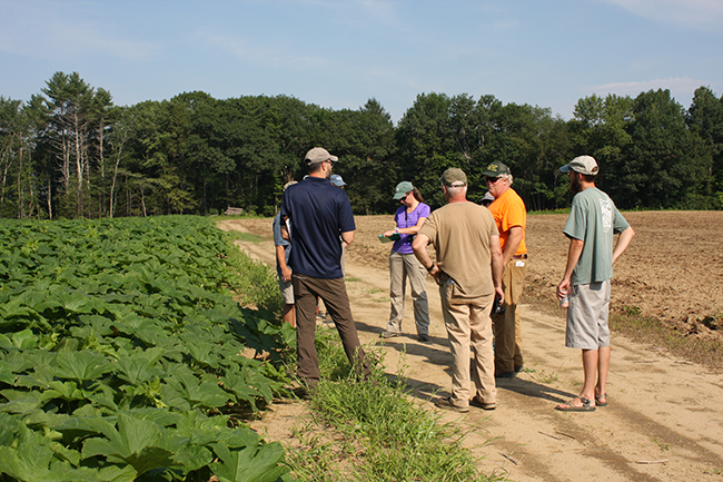 people talking in a field