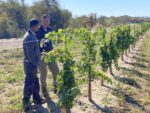 Gil Giese and farm manager in vineyard