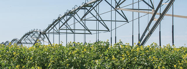 irrigation system irrigation system over a field