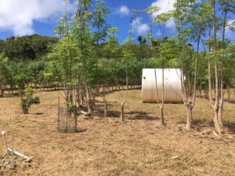 water tank on farm water tank on farm