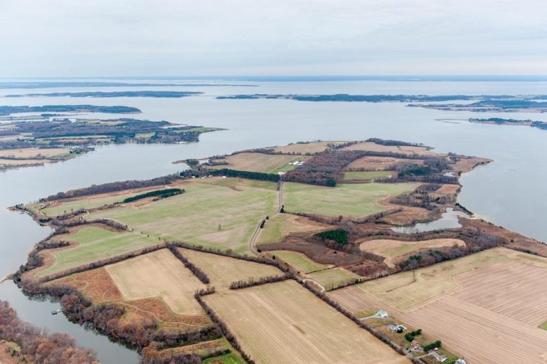 aerial view of farm fields along waters edge aerial view of farm fields along waters edge