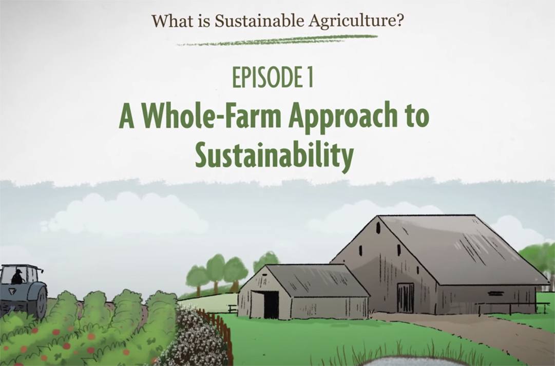 What is Sustainable Agriculture? SARE