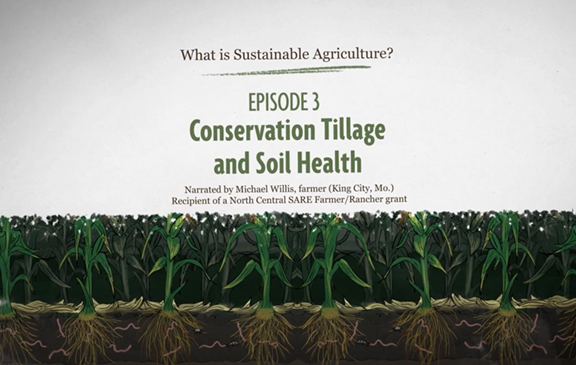 New Conservation Tillage And Soil Health Video From Sare Sare New Conservation Tillage And Soil Health Video From Sare Sare