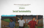 What is Sustainable Agriculture Animation Episode 4