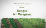 What is Sustainable Agriculture Animation Episode 5
