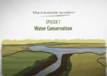 What is Sustainable Agriculture Animation Episode 7