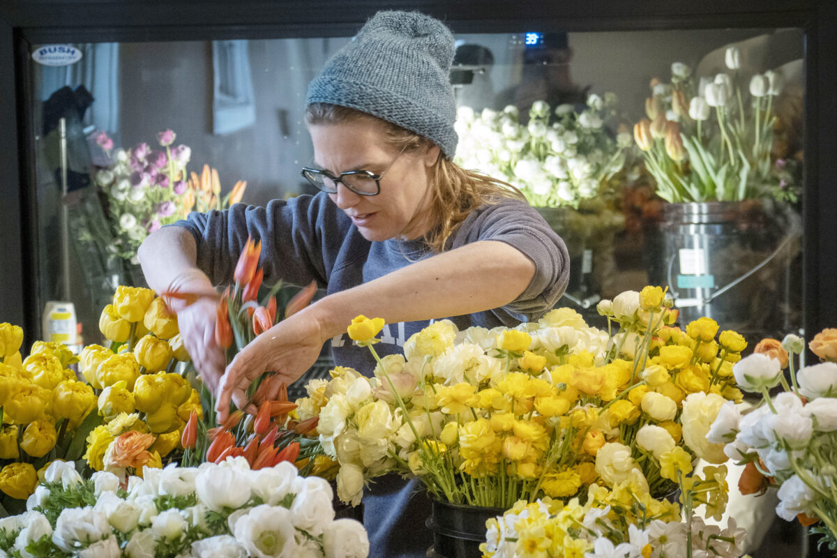 Person looks through bouquet of flowers rearranging them. 