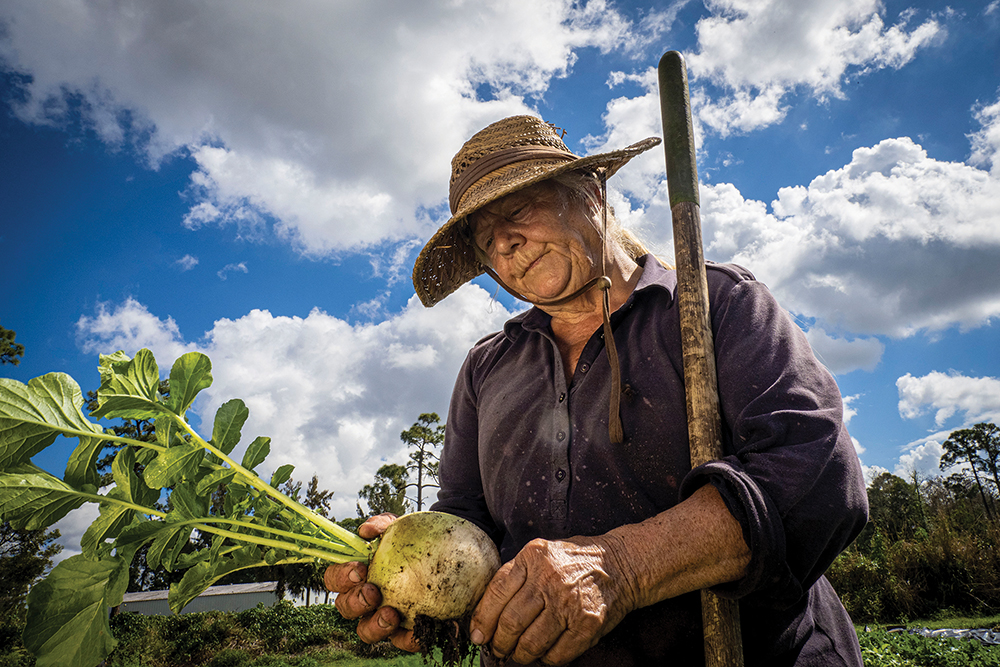 An older woman looking at a harvested turnip that she holds on a farm, outside on a sunny day