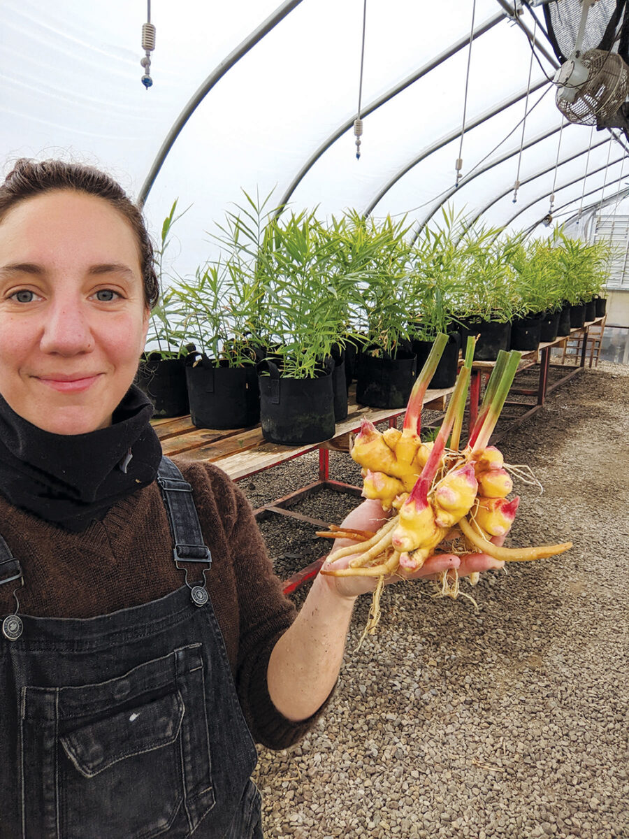a person poses with ginger plants in her hand