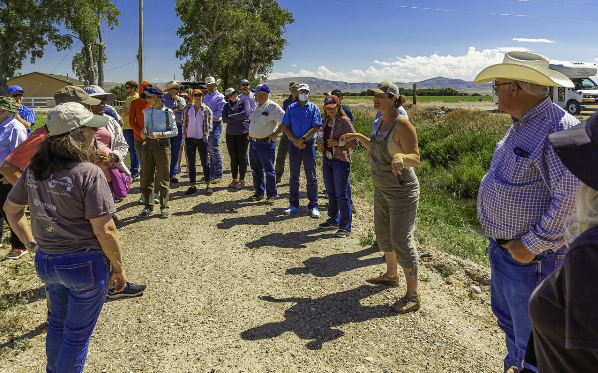 Group of people standing in a semi-circle outside listening to a woman explain something